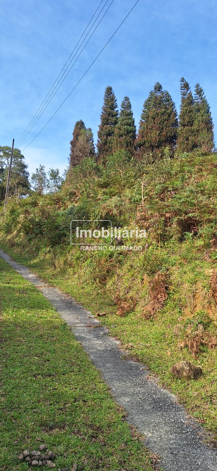 WhatsApp-Image-2024-06-30-at-11.50.19-1