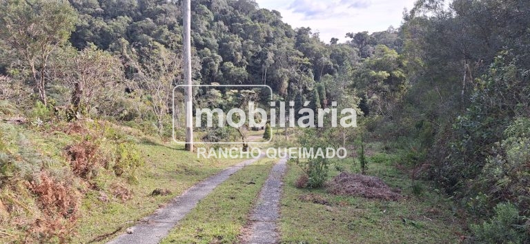 WhatsApp-Image-2024-06-30-at-11.50.20-1