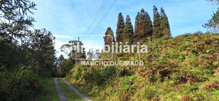 WhatsApp-Image-2024-06-30-at-11.50.20-2