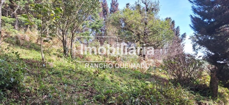 WhatsApp-Image-2024-06-30-at-11.50.22