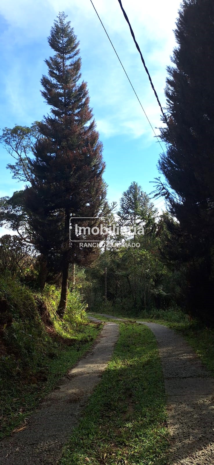 WhatsApp-Image-2024-06-30-at-11.50.24