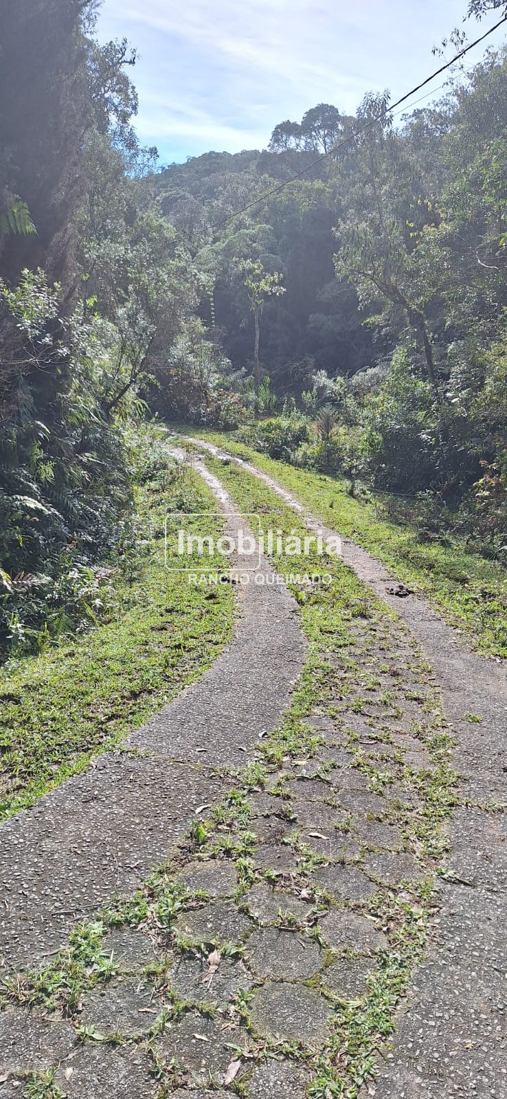 WhatsApp-Image-2024-06-30-at-11.50.25-1