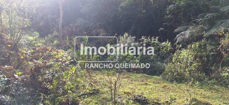 WhatsApp-Image-2024-06-30-at-11.50.25