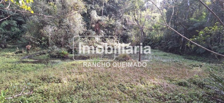 WhatsApp-Image-2024-06-30-at-11.50.26-1