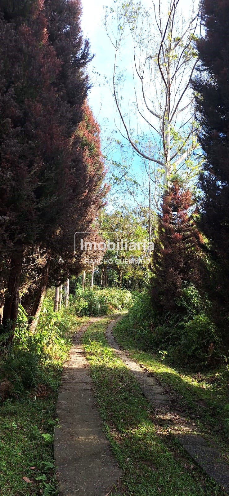 WhatsApp-Image-2024-06-30-at-11.50.26-2