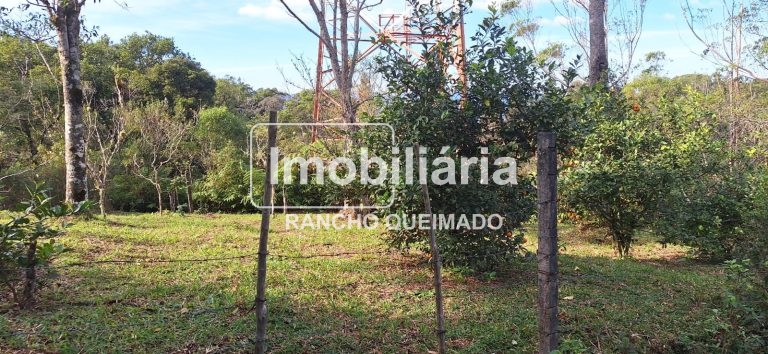 WhatsApp-Image-2024-06-30-at-11.50.31