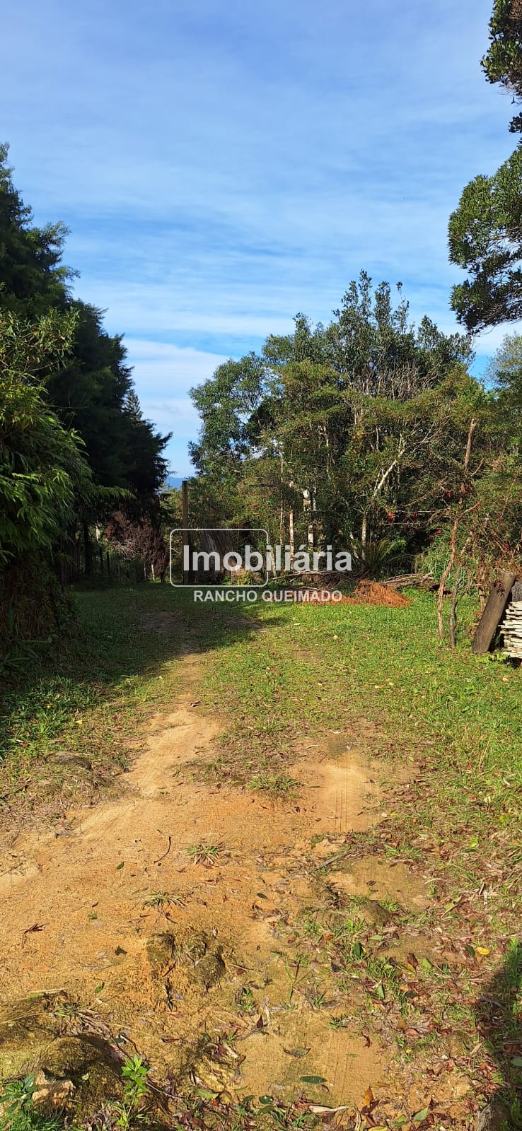 WhatsApp-Image-2024-06-30-at-11.50.33