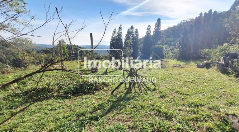 WhatsApp-Image-2024-06-30-at-11.50.36-1-1