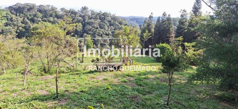 WhatsApp-Image-2024-06-30-at-11.50.36