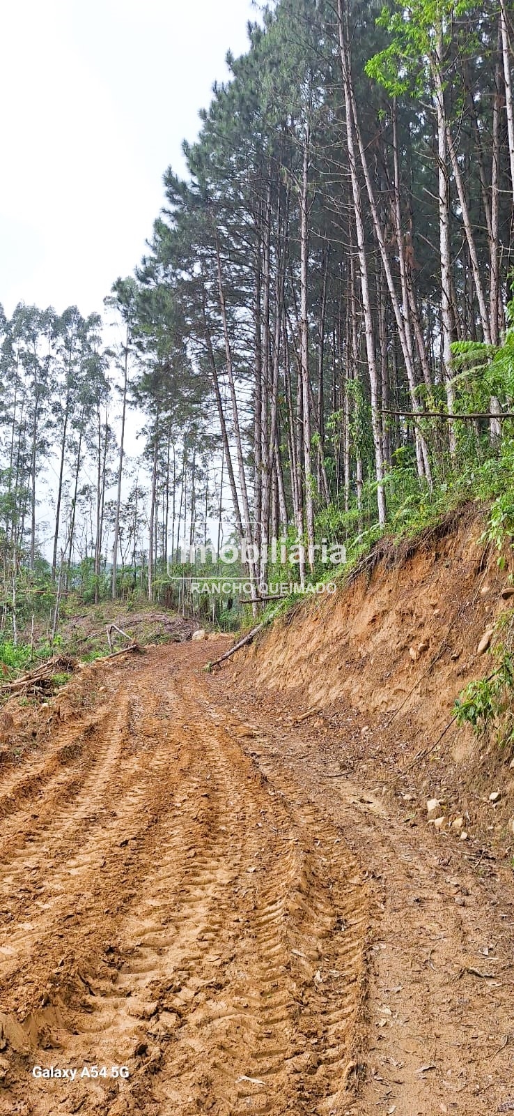 WhatsApp-Image-2024-09-25-at-09.03.09