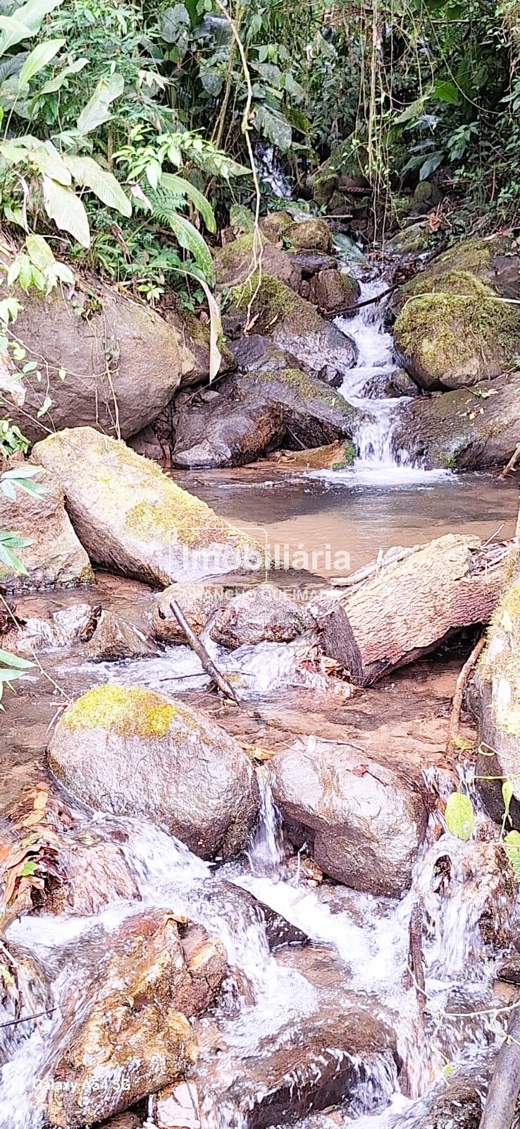 WhatsApp-Image-2024-09-25-at-09.03.10-1