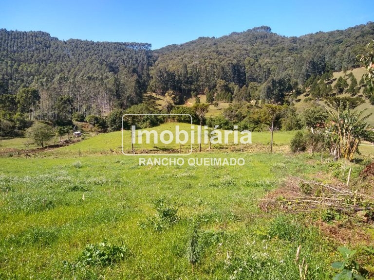 WhatsApp-Image-2024-02-06-at-16.40.12