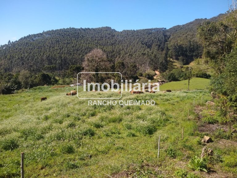 WhatsApp-Image-2024-02-06-at-16.40.14