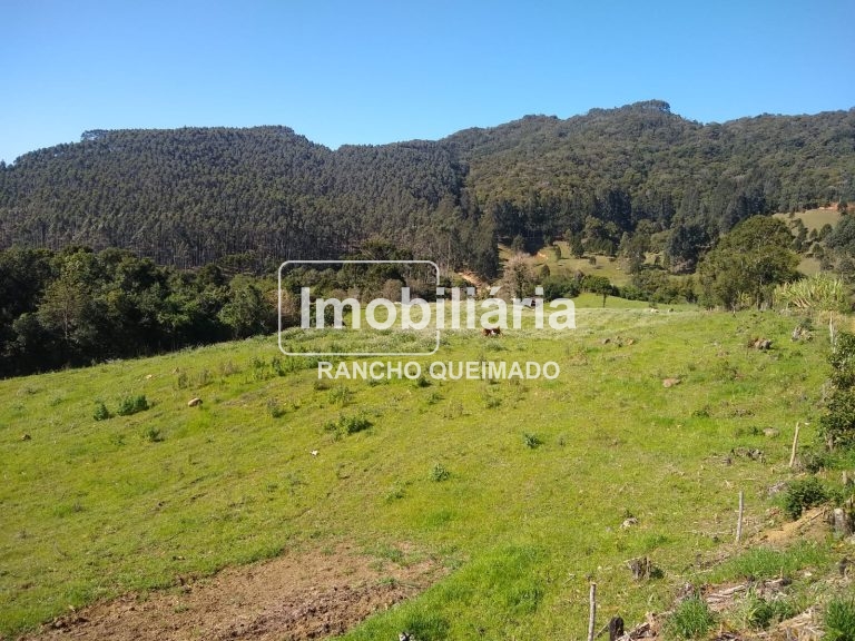 WhatsApp-Image-2024-02-06-at-16.40.15