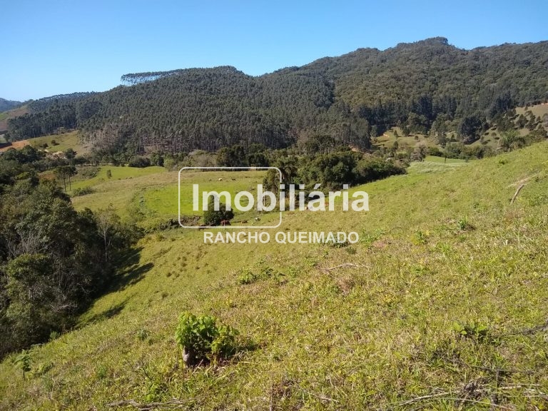 WhatsApp-Image-2024-02-06-at-16.40.16-1