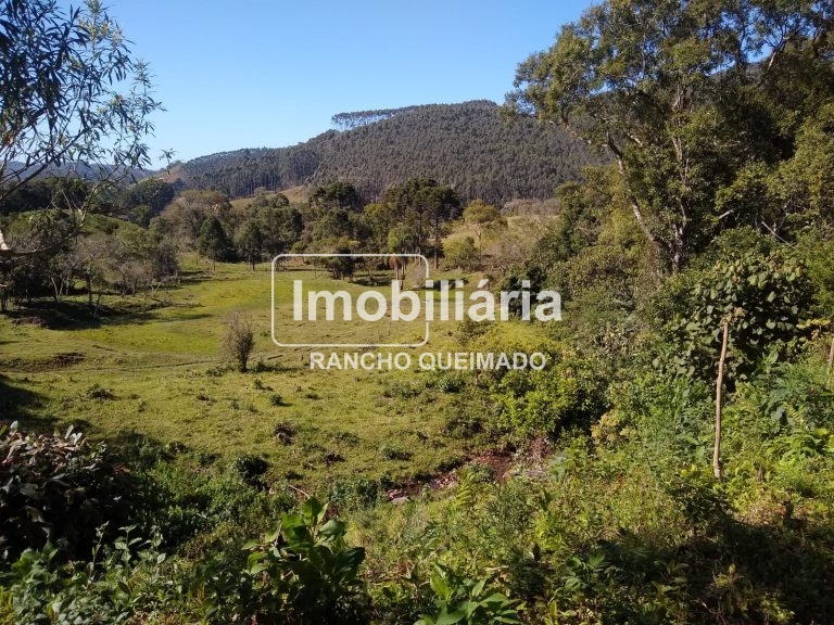 WhatsApp-Image-2024-02-06-at-16.40.16-3