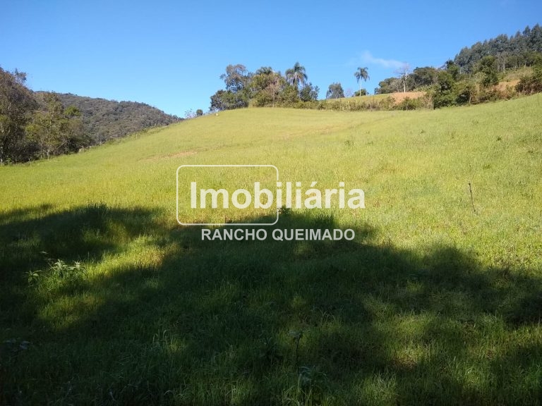 WhatsApp-Image-2024-02-06-at-16.40.16-4