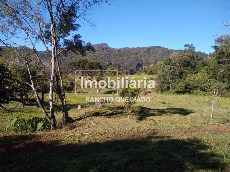 WhatsApp-Image-2024-02-06-at-16.40.17