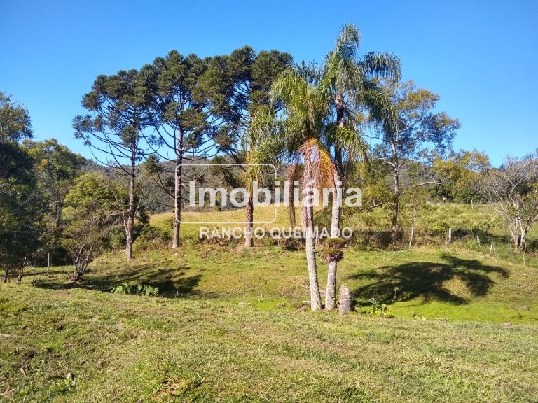 WhatsApp-Image-2024-02-06-at-16.40.18-1