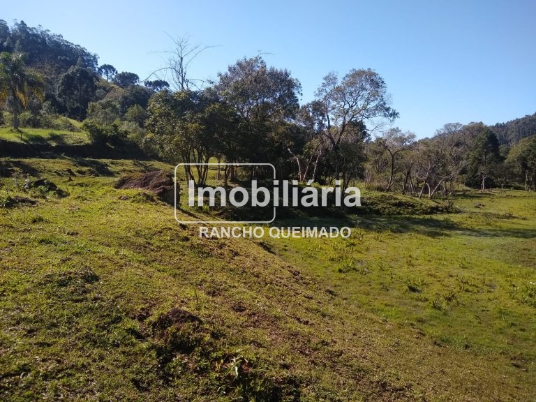 WhatsApp-Image-2024-02-06-at-16.40.18