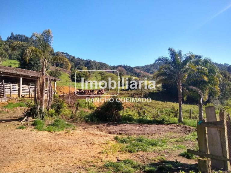 WhatsApp-Image-2024-02-06-at-16.40.20