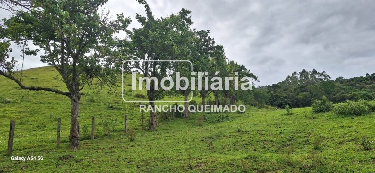 WhatsApp-Image-2024-11-17-at-08.59.40