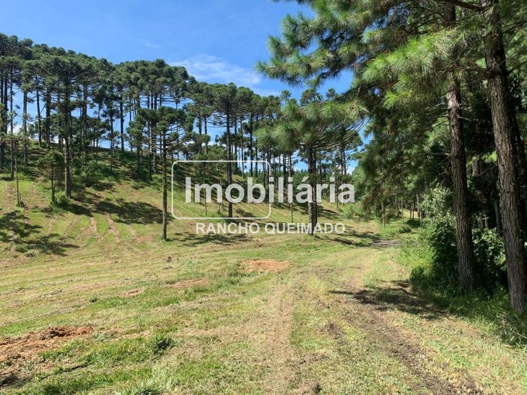 WhatsApp-Image-2025-03-28-at-09.59.17-1