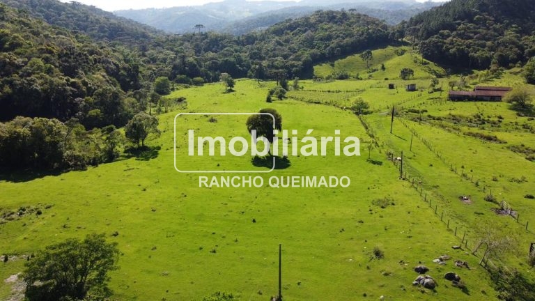 WhatsApp-Image-2025-03-28-at-09.59.17-3