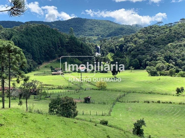 WhatsApp-Image-2025-03-28-at-09.59.18-2