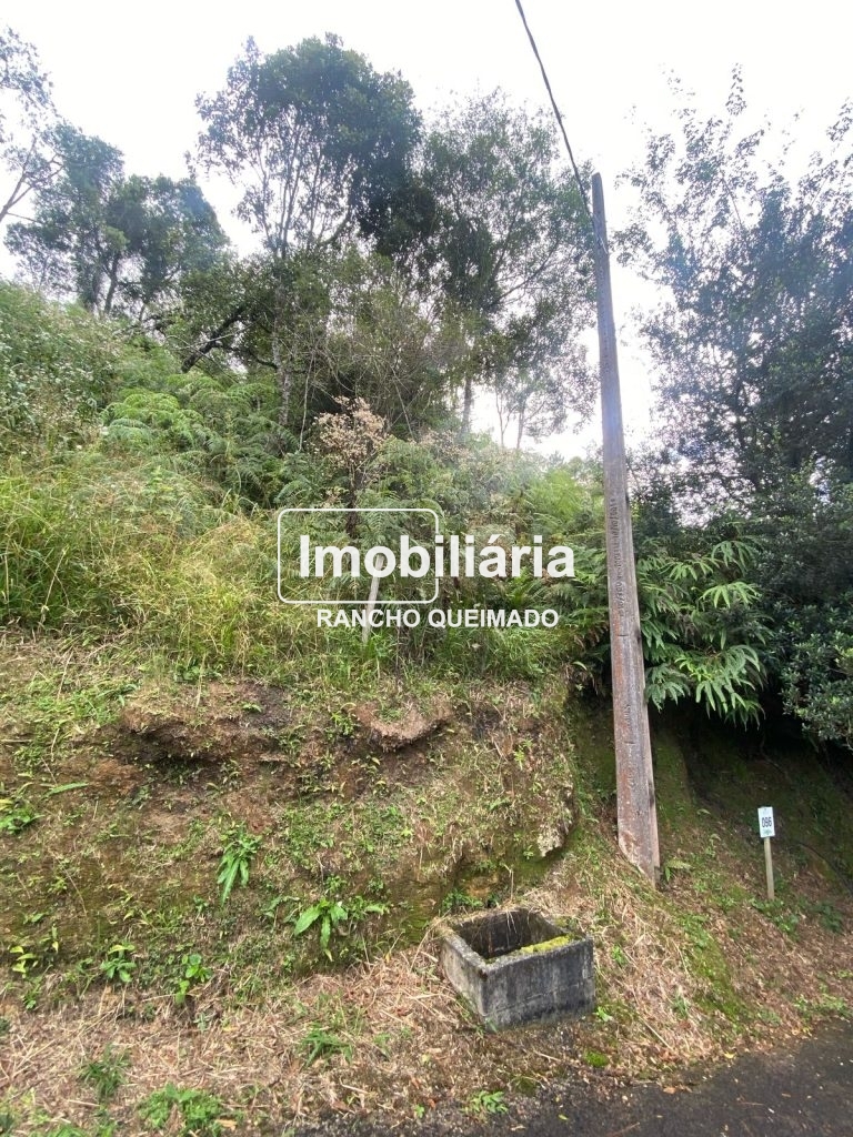 18b7708c-4ecc-406d-b602-32667914a007