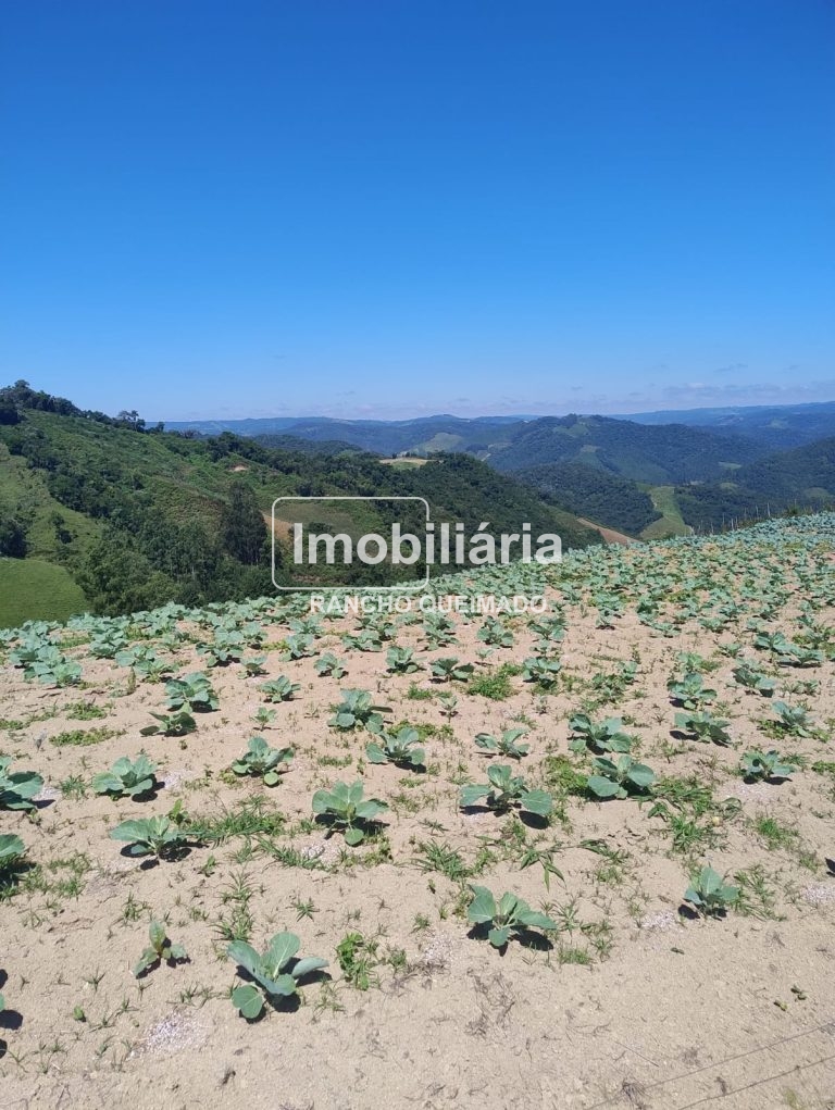 3e372b04-77cf-4fdd-a90f-2ee2abdbf2fb