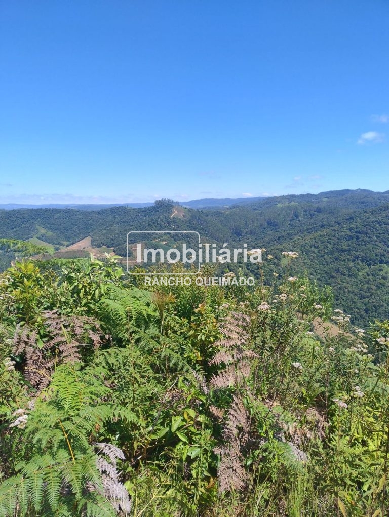 591d6a53-94f7-4b12-9383-951dbab8838b